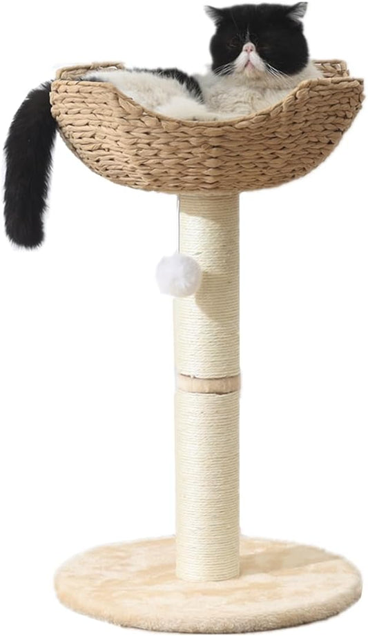SHENGOCASE Small Cat Tree Tower with Large 17.7" Rattan Wicker Basket, Handwoven Nest Basket Bed, Window Perch for Large Cats up to 25LBS