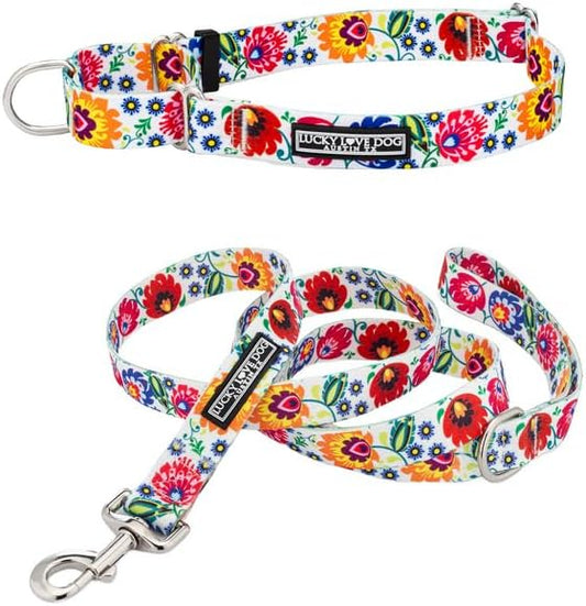 Lucky Love Dog Martingale Dog Collar & Leash - Adjustable, No-Slip, Durable, Comfortable, Soft Webbing, & Stylish Patterned Collar & Leash Set for Male and Female Dogs - Ladybird Combo, Small