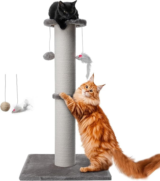34 Inch Tall Cat Scratching Post for Multi Cat - Cat Scratching Post for Indoor Cats and Kitten with Velvet Large Diameter Scratching Post Top & 2 Hanging Ball Toy