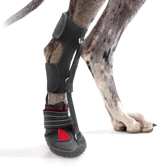 Strap-On Drop Foot Brace (No Knuckling Boot Brace) for Dogs??Corrective Dog Shoes to Safely Lift Toes for Foot Issues, Arthritis, and improving Walking gait in Dogs(XL)