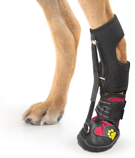 Strap-On Drop Foot Brace (No Knuckling Boot Brace) for Dogs??Corrective Dog Shoes to Safely Lift Toes for Foot Issues, Arthritis, and improving Walking gait in Dogs(L)