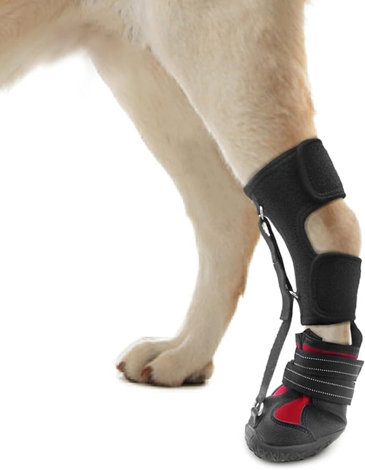 Strap-On Drop Foot Brace (No Knuckling Boot Brace) for Dogs??Corrective Dog Shoes to Safely Lift Toes for Foot Issues, Arthritis, and improving Walking gait in Dogs(M)