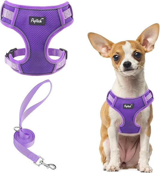 PUPTECK Small Dog Harness and Leash Set, No Pull Adjustable Puppy Cat Harness, Reflective Soft Mesh Pet Vest Small Sized