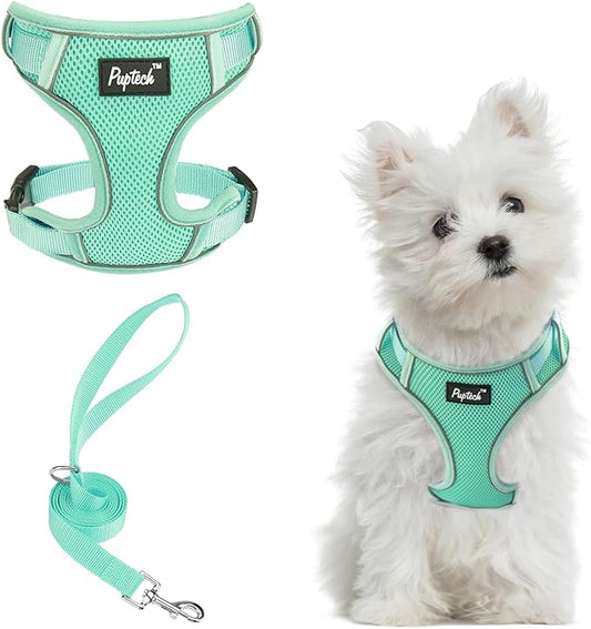 PUPTECK Small Dog Harness and Leash Set, No Pull Adjustable Puppy Cat Harness, Reflective Soft Mesh Pet Vest Small Sized