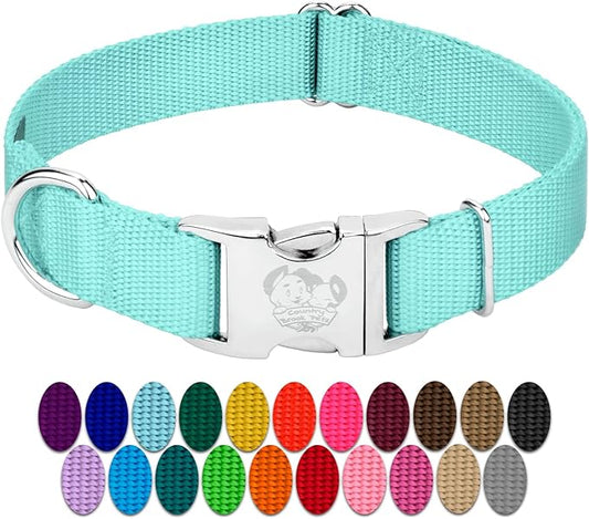 Country Brook Petz Premium Nylon Dog Collar with Metal Buckle for Small Medium Large Breeds - Vibrant 30+ Color Selection (Small, 3/4 Inch, Light Cyan)