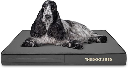 The Dog?™s Bed Orthopedic Memory Foam Dog Bed, Medium Grey & Black, Waterproof, Supportive Dog Bed with Replaceable Covers, Veterinary Approved