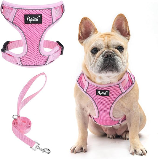 PUPTECK Small Dog Harness and Leash Set, No Pull Adjustable Puppy Cat Harness, Reflective Soft Mesh Pet Vest Medium Sized