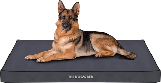 The Dog?™s Bed Orthopedic Dog Bed, XL Grey with Black Trim, Waterproof, Supportive Dog Bed with Washable Replaceable Covers, Veterinary Approved