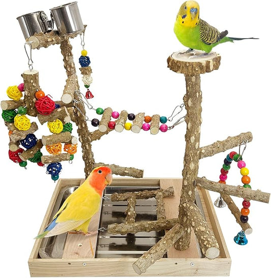PINVNBY Bird Playground Natural Wood Parrot Perch Stand Bird Play Gym Colorful Ladder Swing Chewing Toys with Metal Tray and 2 Stainless Steel Cups Cage Accessories for Conure Cockatiel Parakeet