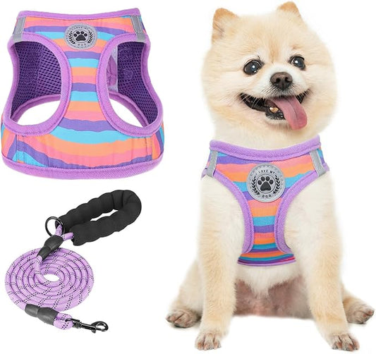 BEAUTYZOO Dog Harness and Leash Set for Small Dogs,No Pull Step-in Harness for Puppy XS S Sized Dogs and Cats,Air Mesh Adjustable Breathable Soft No Chock Escape Proof Vest Harness,Striped Purple XXS
