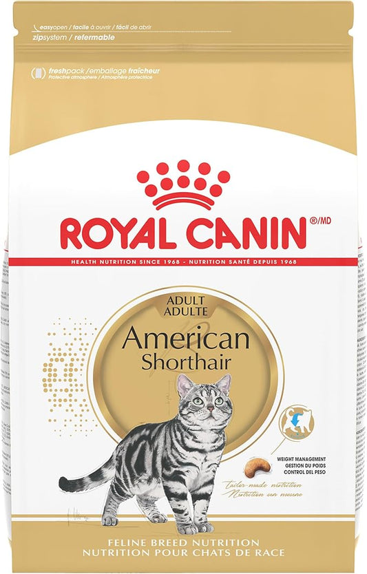 Royal Canin Feline Breed Nutrition American Shorthair Adult Dry Cat Food, 5.5 lb Bag