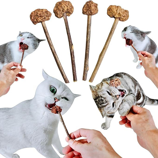 4 PCS Silvervine Stick Cat Toy with Gall Fruit ??Natural Lollipop-Shaped Matatabi Chew Toy for Cats ??Catnip Alternative for Teeth Cleaning, Anxiety Relief & Interactive Play ??4.8" Cat Dental Toy