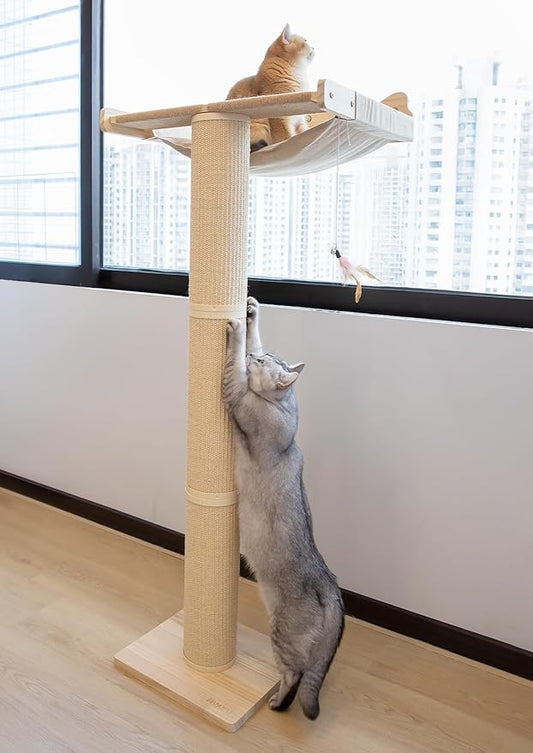 Upgraded Cat Window Perch with Scratching Post, 54.3" Adjustable Cat Tall Scratching Posts & Suction Cup ??Multi-Level Perch for Climbing, Bird Watching, and Play, Supports 60 lbs (Drilling-Free)