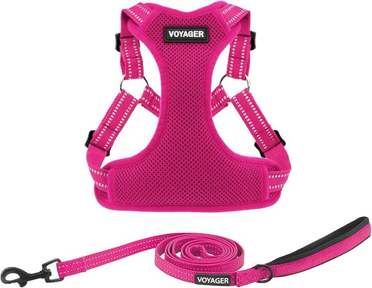 Best Pet Supplies Voyager Adjustable Dog Harness Leash Set with Reflective Stripes for Walking Heavy-Duty Full Body No Pull Vest with Leash D-Ring, Breathable All-Weather - Fuchsia, S