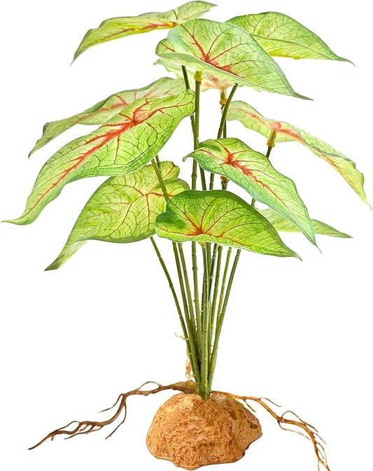 Woyrise Reptile Artificial Plants for Terrarium Decor, Amphibian Habitat Decorations Bearded Dragon Tank Accessories fit Crested Gecko Leopard Lizard Chameleon Ball Python Snake Frog - Fake Caladium