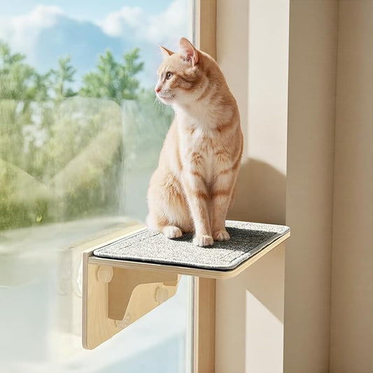 Pecute 2-in-1 Cat Window Perch & Wall Shelves, Cat Hammock Window with Solid Wood, Strong Suction Cup, Washable Cover Mat, Kitten Window seat Indoor, Cats Perch Bed for Birds Watching Inside,16"x10"