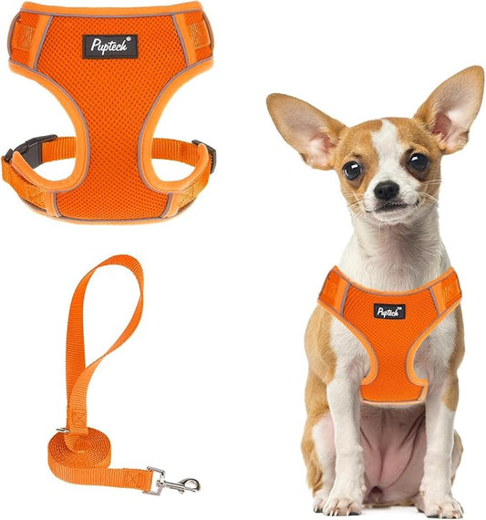 PUPTECK Small Dog Harness and Leash Set, No Pull Adjustable Puppy Cat Harness, Reflective Soft Mesh Pet Vest Small Sized