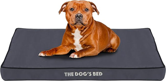 The Dog?™s Bed Orthopedic Dog Bed, Large Grey with Black Trim, Waterproof, Supportive Dog Bed with Washable Replaceable Covers,Veterinary Approved