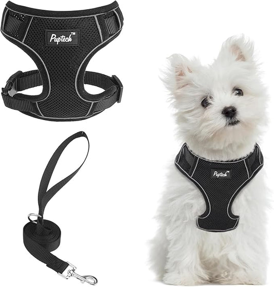 PUPTECK Small Dog Harness and Leash Set, No Pull Adjustable Puppy Cat Harness, Reflective Soft Mesh Pet Vest Small Sized