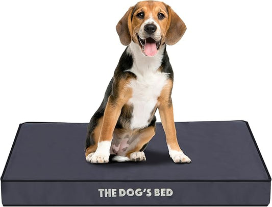 The Dog?™s Bed Orthopedic Dog Bed, Medium Grey with Black Trim, Waterproof, Supportive Dog Bed with Washable Replaceable Covers, Veterinary Approved