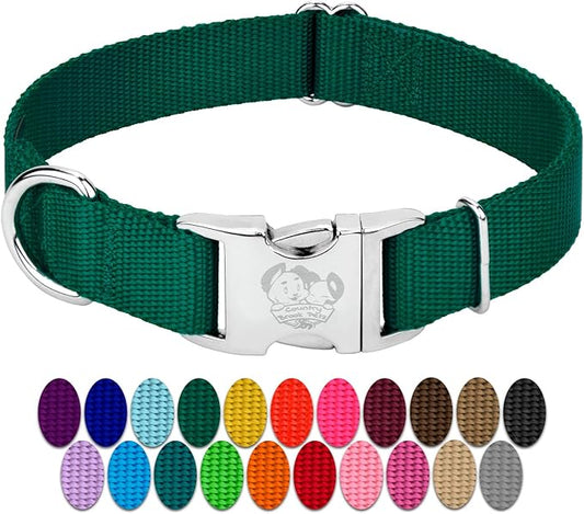 Country Brook Petz Premium Nylon Dog Collar with Metal Buckle for Small Medium Large Breeds - Vibrant 30+ Color Selection (Extra Large, 1 Inch, Green)