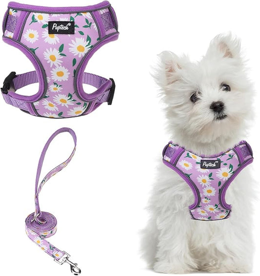 PUPTECK Small Dog Harness and Leash Set, No Pull Adjustable Puppy Cat Harness, Reflective Soft Mesh Pet Vest Small Sized