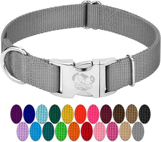 Country Brook Petz Premium Nylon Dog Collar with Metal Buckle for Small Medium Large Breeds - Vibrant 30+ Color Selection (Extra Large, 1 Inch, Silver)