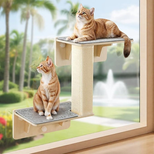 Pecute Double Cat Shelves with Scratching Post for Wall and Window with Solid Wood, Strong Suction Cup, Washable Cover Mat, Cats Perch Bed for Birds Watching Inside Indoor Cat Hammock Bed