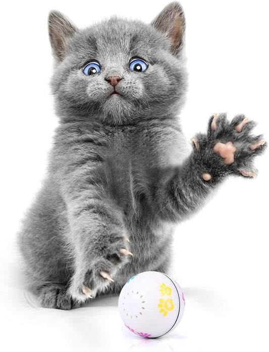 Interactive Cat Toys, Smart Rolling Dog Toys, Self Rotating Exercise Ball for Puppy Kitty, USB Recharge with LED Light, Cat Dog Catnip for Pet Supplies, Pack of 1