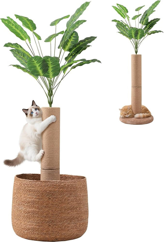 62 Inch Tall Cat Scratching Post with Bed, Banana Leaf Tree Scratching Posts for Indoor Cats Adults, Modern Artificial Plants Scratcher Post with Foldable Woven Cat Basket for Home Decor