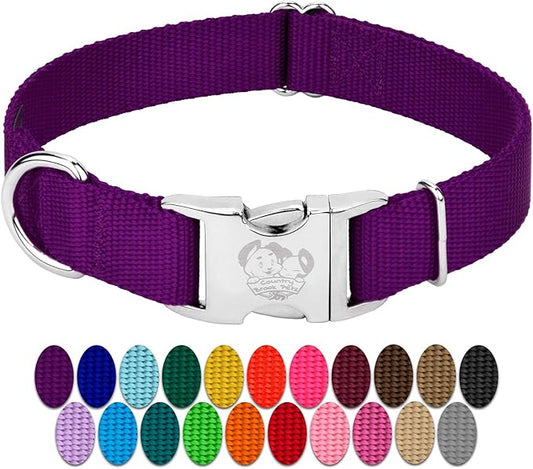 Country Brook Petz Premium Nylon Dog Collar with Metal Buckle for Small Medium Large Breeds - Vibrant 30+ Color Selection (Large, 1 Inch Wide, Purple)