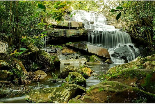 Waterfall Aquarium Background Jungle Forest Lake Stream Natural Landscape Fish Tank Background Tropical Plants Huge Rock with Moss Terrarium Backgrounds Jungle Trees Falls Reptile Backgrounds 30x18in