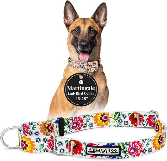 Lucky Love Dog Martingale Dog Collar - Adjustable, No-Slip, Durable, & Soft Webbing Collar for Male and Female Dogs Ideal for Training & Walking - Ladybird, Large