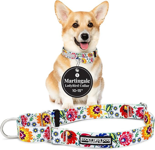 Lucky Love Dog Martingale Dog Collar - Adjustable, No-Slip, Durable, & Soft Webbing Collar for Male and Female Dogs Ideal for Training & Walking - Ladybird, Small