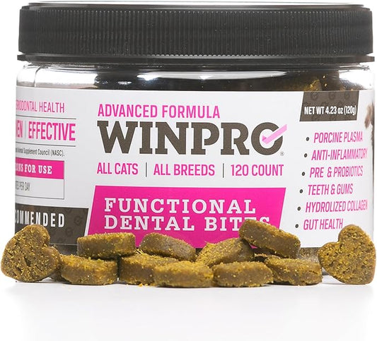 WINPRO Functional Dental Bites for Cats, Plasma-Powered Formula for Supporting Healthy Teeth and Gums, Probiotic Blend, Catnip Flavor, All Cat Breeds, 120 Count