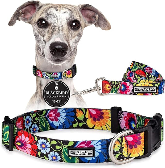 Lucky Love Dog - Easy Click Buckle Dog Collar with Leash Set Combo, Durable & Comfortable for Male & Female Dogs, Pet Collar for Small to Large Dogs, Secure Fit - Blackbird Combo, Medium