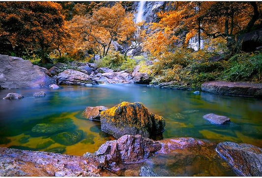 Waterfall Aquarium Background Autumn Jungle Forest Lake Stream Natural Landscape Terrarium Background Tranquil River Huge Rocks Fish Tank Background Fall Forest Theme Reptile Background 72x18in