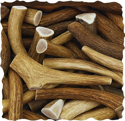 WhiteTail Naturals Premium Whole Elk Antlers for Dogs (1 Pound Pack) Natural Dog Chews | Naturally Shed Antler Horn | 6 to 8 Inch Long | Large and Medium Antler Bone Chew