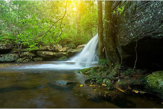Waterfall Aquarium Background Jungle Forest Stream Fish Tank Background Cave with Lush Green Forest Trees Rocks Falls with Sunbeams Natural Landscapes Reptile Tank Enclosure Backgrounds 48x18in