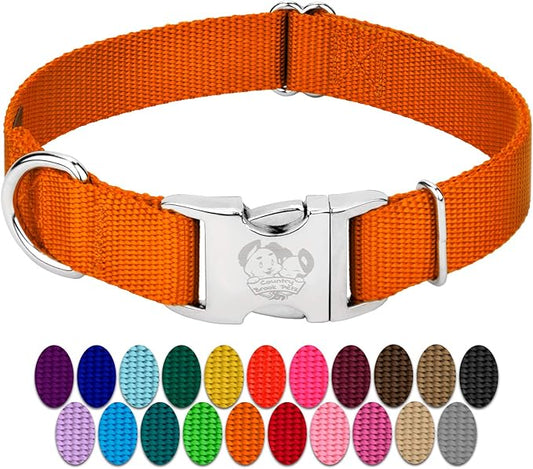 Country Brook Petz Premium Nylon Dog Collar with Metal Buckle for Small Medium Large Breeds - Vibrant 30+ Color Selection (Extra Large, 1 Inch, Orange)
