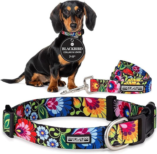 Lucky Love Dog - Easy Click Buckle Dog Collar with Leash Set Combo, Durable & Comfortable for Male & Female Dogs, Pet Collar for Small to Large Dogs, Secure Fit - Blackbird Combo, X-Small
