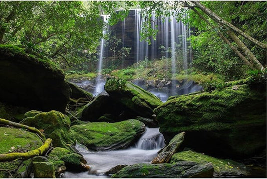 Waterfall Aquarium Background Jungle Forest Stream Landscape Fish Tank Backgrounds Tropical Plants Rocks Lush Moss Reptile Tank Backgrounds Jungle Rainforest Reptile Enclosure Backgrounds 48x18in