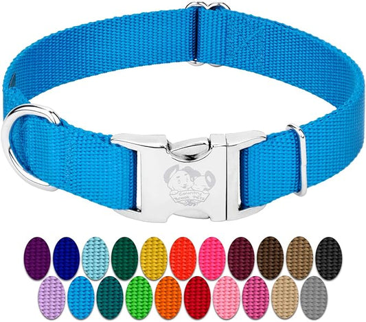 Country Brook Petz Premium Nylon Dog Collar with Metal Buckle for Small Medium Large Breeds - Vibrant 30+ Color Selection (Extra Large, 1 Inch, Ice Blue)