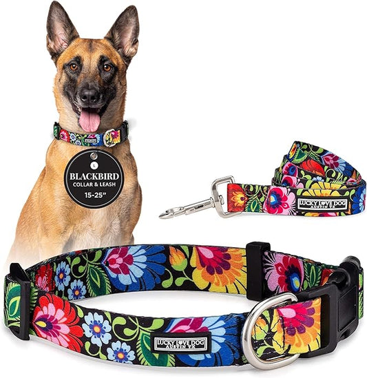 Lucky Love Dog - Easy Click Buckle Dog Collar with Leash Set Combo, Durable & Comfortable for Male & Female Dogs, Pet Collar for Small to Large Dogs, Secure Fit - Blackbird Combo, Large