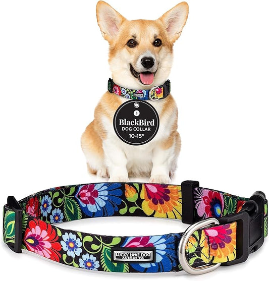 Lucky Love Dog - Adjustable Dog Collar with Easy Click Buckle for Small to Large Ones, Durable, & Comfortable for Male & Female Dogs, Pet Collar for Puppies & Adult Dogs - Blackbird, Small
