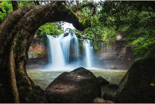 Waterfall Aquarium Background Jungle Forest Lake Stream Natural Landscape Fish Tank Background Tropical Plants Huge Rock Terrarium Backgrounds Jungle Old Trees Falls Reptile Tank Backgrounds 48x20in