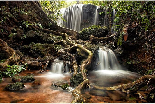 Waterfall Aquarium Background Jungle Forest Lake Stream Natural Landscape Fish Tank Background Tropical Plants Huge Rock Terrarium Backgrounds Jungle Old Trees Falls Aquarium Tank Backgrounds 30x12in