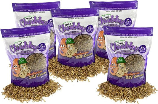 Chubby Mix Mealworm & Black Soldier Fly Larvae | 10 lbs | Non-GMO High-Protein Dried Insects for Chickens, Ducks & Wild Birds ??Calcium-Rich Chicken Treats
