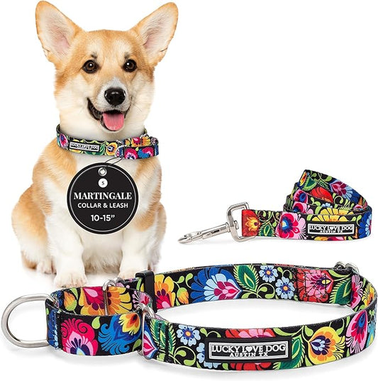 Lucky Love Dog Martingale Collar and Leash Set, Premium No Slip Collar and Leash Set, Great for Whippets, Greyhounds, and More (Blackbird, Small - Combo)