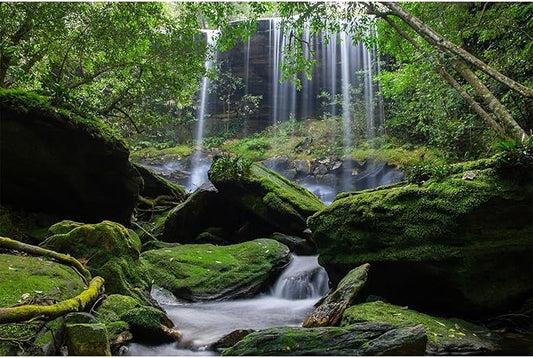 Waterfall Aquarium Background Jungle Forest Lake Stream Natural Landscape Fish Tank Background Tropical Plants Huge Rock with Moss Reptile Tank Backgrounds Jungle Trees Reptile Backgrounds 36x24in